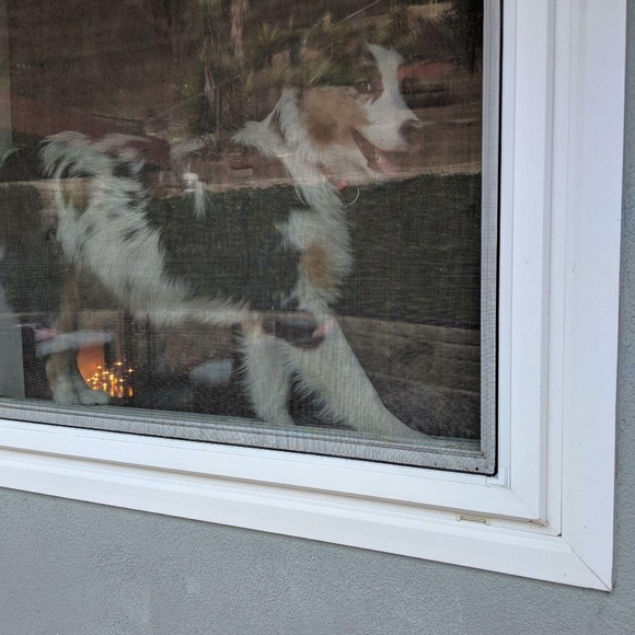 Meet your Posher, Leslie - Picture 1 of 3